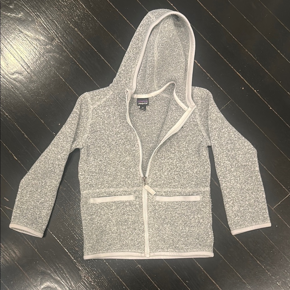 Gray Patagonia Hoodie